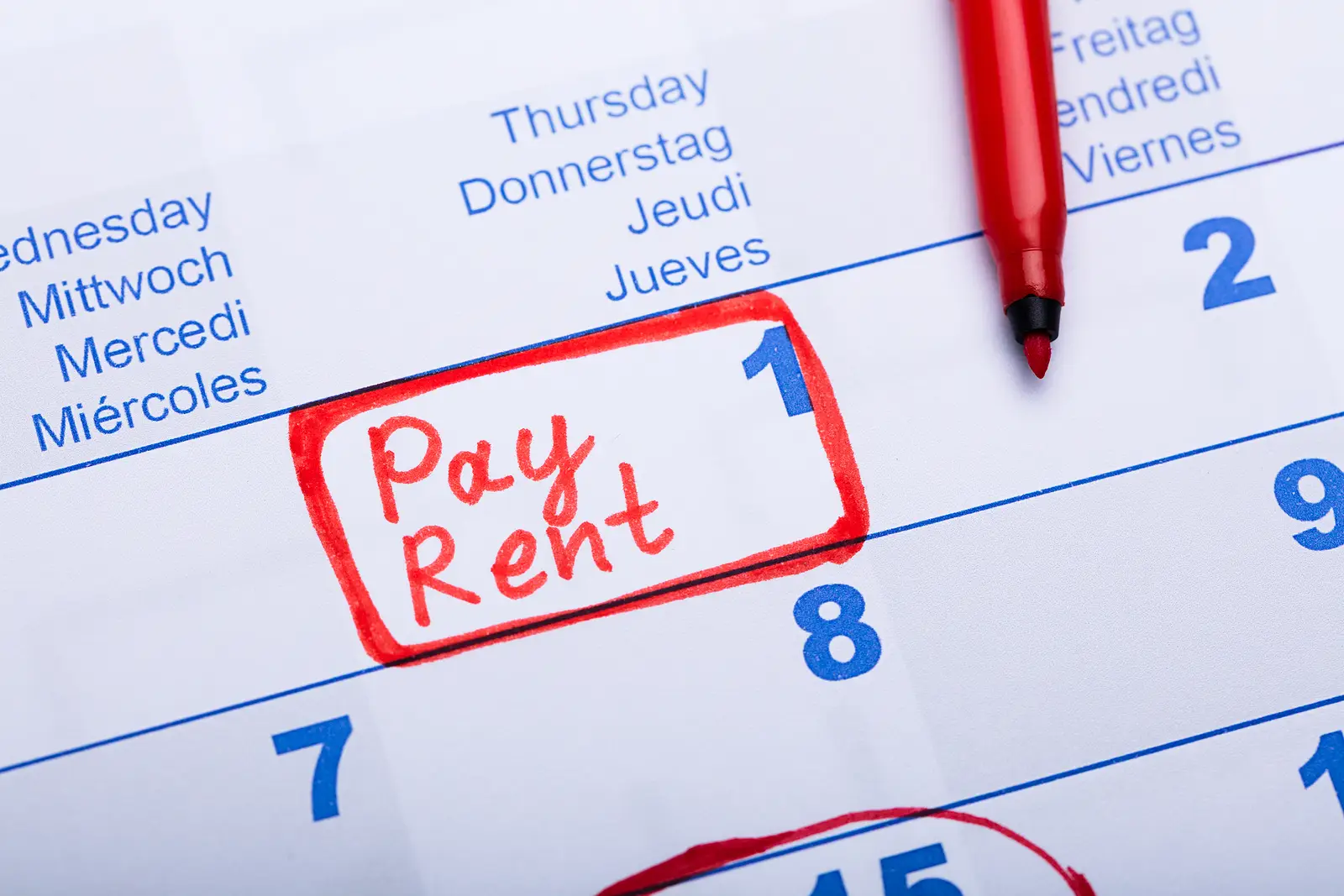 When Payment Predictability Becomes the Deciding Factor in Ledyard Rental Performance