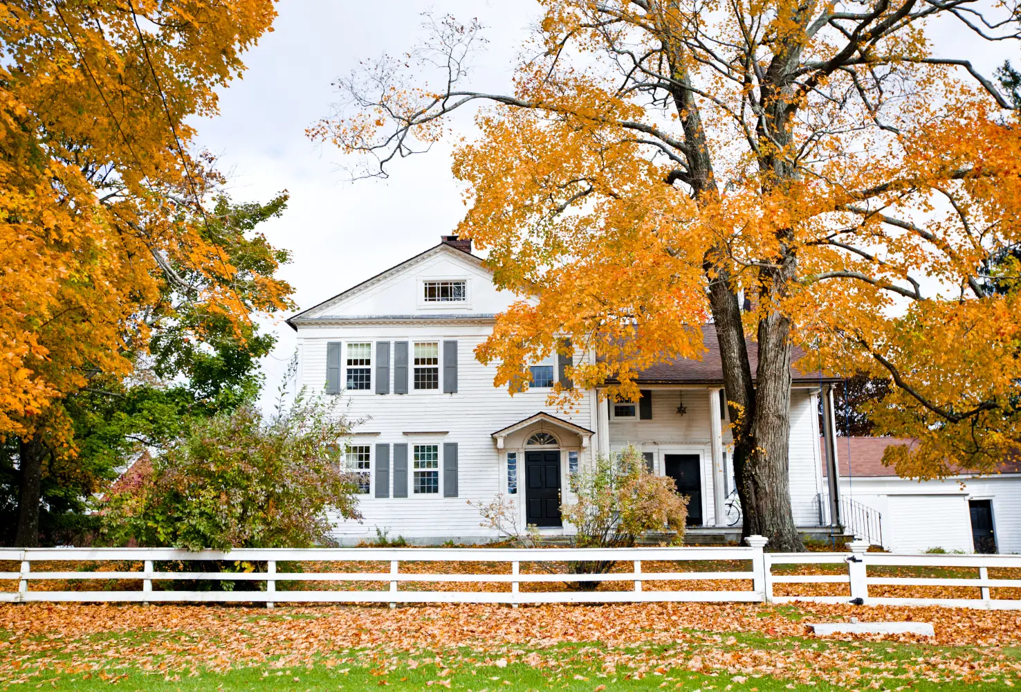 Ledyard Property Management